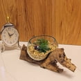 thumbnail image 3 of Zeckos Melted Glass on Driftwood Decorative Terrarium Tabletop Planter, 3 of 8