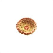 Small Natural Open Finch Nest 4" x4" HB4652