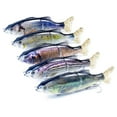 thumbnail image 4 of Señuelo de pesca con cebo para trucha TFixol de 6,7 pulgadas/3,1 oz, cuerpo duro de 2 segmentos, 4 of 8
