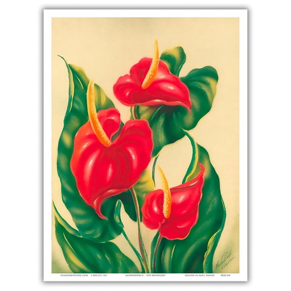 Anthurium II Hawai’i - Vintage Hawaiian Airbrush Art by Ted Mundorff c.1940s - Master Art Print (Unframed) 9in x 12in