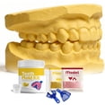 thumbnail image 2 of YFGEFTR Tooth Plaster Model Set, Helps To Complete The Tooth Model Making Clearly Presents The Outline And Basic Form for Legs Face Underarms - Home Salon Use, 2 of 8