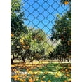 thumbnail image 2 of golytefs Nylon Bird Netting Mesh Hawk Netting Protective Chicken Coop Netting 25 X 50 Ft Fruit Tree Netting for Birds Deer Squirrels, 2 of 9