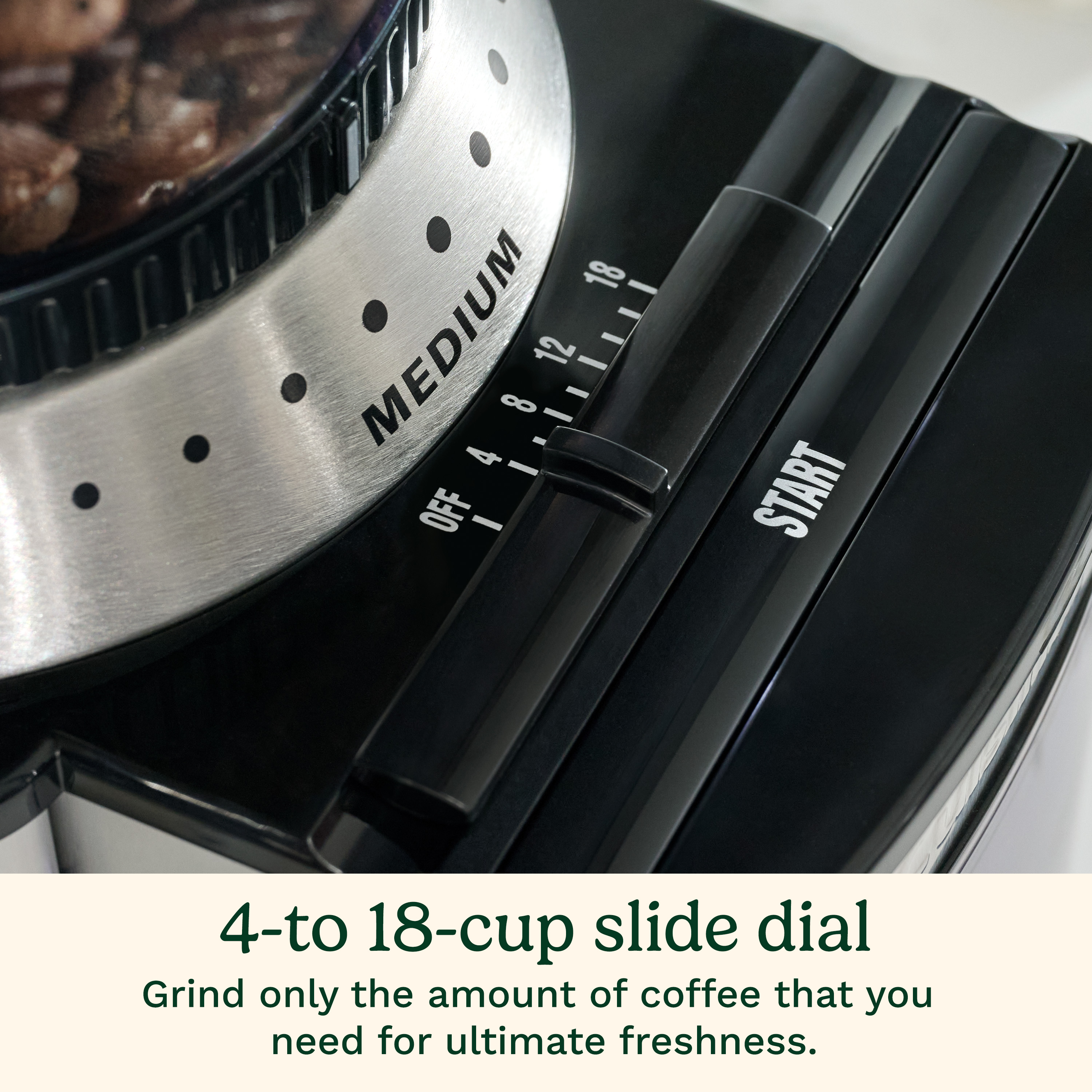 Cuisinart Supreme Grind 32-Cup Electric Burr Coffee Grinder photo 4