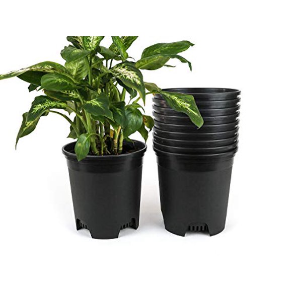 Plastic Pot Plants Wholesale