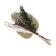 thumbnail image 4 of Hojas de palma secas Soledad decoración de Hierba de pampa, 4 of 5