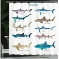 thumbnail image 4 of Ambesonne Fish Shower Curtain, Cartoon Shark Types Wild, 69"Wx70"L, Multicolor, 4 of 5
