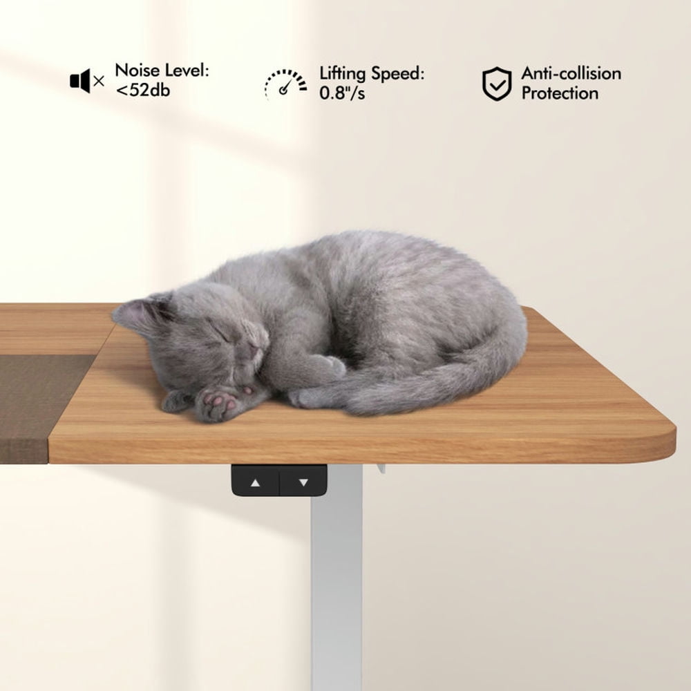 Demi Bonn 55" Electric Height Adjustable Computer Desk with Hook, Small Home Office Desk Study Writing Table, Beige