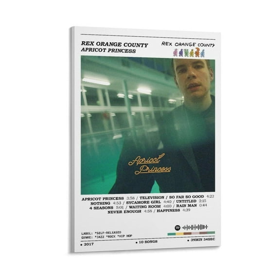 Rex Orange County - Apricot Princess Music Song Album Cover Posters Canvas Poster Wall Decorative Art Painting Living Room Bedroom Decoration Gift