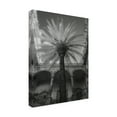 thumbnail image 2 of Jim Dratfield 'Palermo' Canvas Art, 2 of 3