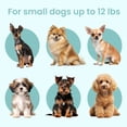 thumbnail image 2 of Jaula plegable para cachorros y perros, cama lavable KindTail PAWD +, 2 of 8