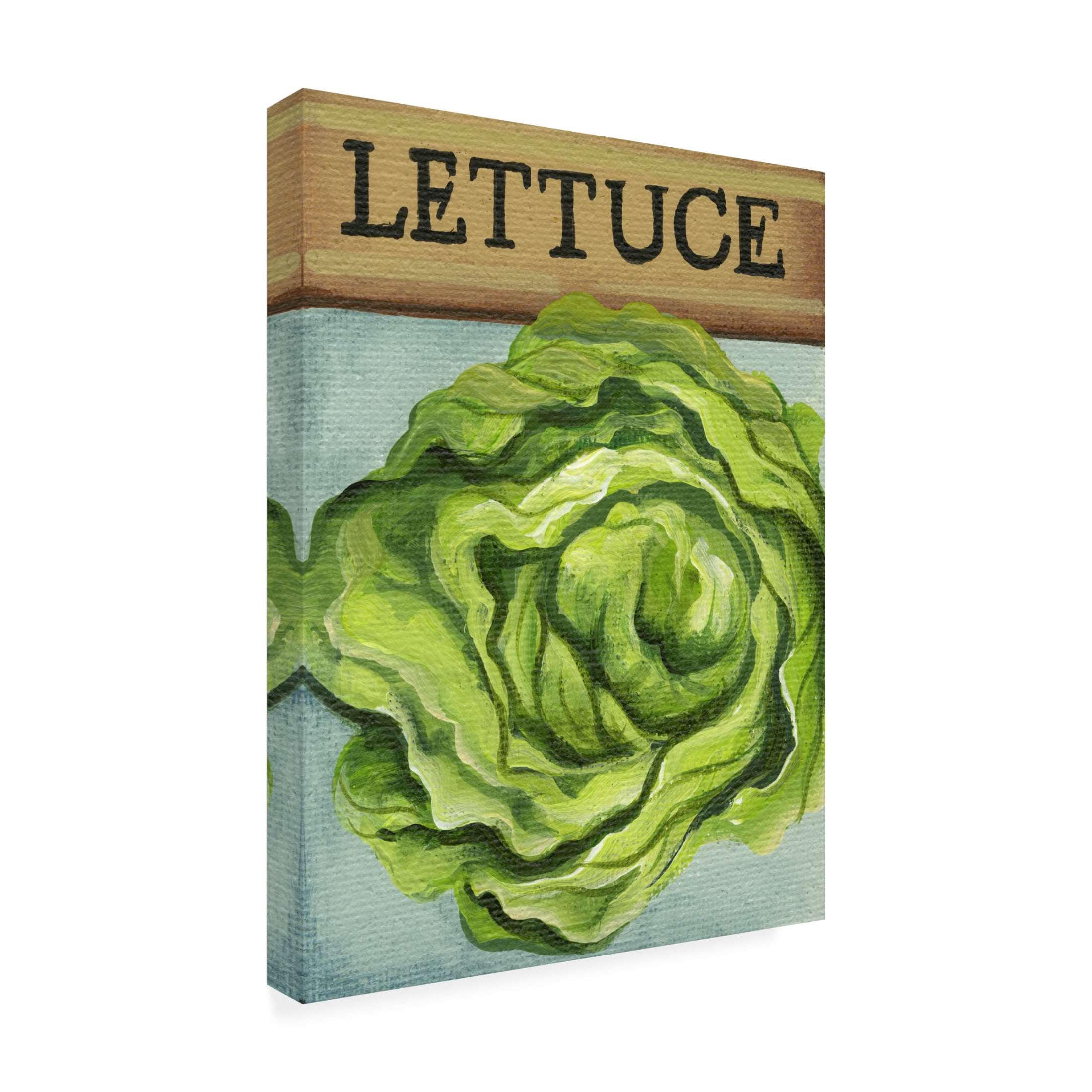 Canvas Wall Art - Debbi Wetzel 'Seed Packets 22 - Lettuce' Wall Art for Living Room, Bedroom, or Office Décor by Trademark Fine Art - 24 x 32 Inches