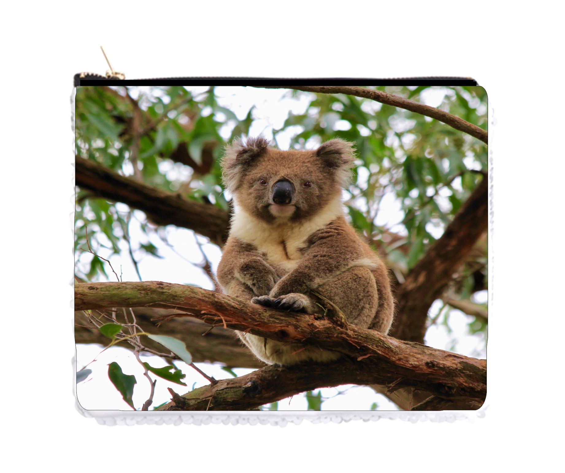 Pencil Pouch Koala on Branch Holder Pouch Gold / Silver