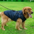 thumbnail image 2 of Zip Up Windproof Warm Dog Jackets -Harness Ring Built in Reflective Thick Dog Jacket Winter Small Medium Dog Coat for Indoor and Outdoor, 2 of 5