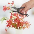thumbnail image 1 of Steel Bonsai Pruning Scissor Shear, Strong And Durable Flower Arrangement And Gardening Tool, 1 of 8