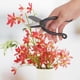 thumbnail image 4 of Tijera Para Bonsái, Tijeras Para Arreglos Florales, Herramientas, Tijeras De Podar, Herramienta De Acero, Herramienta De Esquila Para Jardín Al Aire Libre, Utensilios Para, 4 of 7