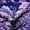 Purple, variant on meiyoeat Ink Peony Dragon Twin Comforter Sets for Boys, Vintage Japanese Style Bedding Set, Black Red, Black Reversible, 2pcs, 1 Comforter and 1 Pillowcase