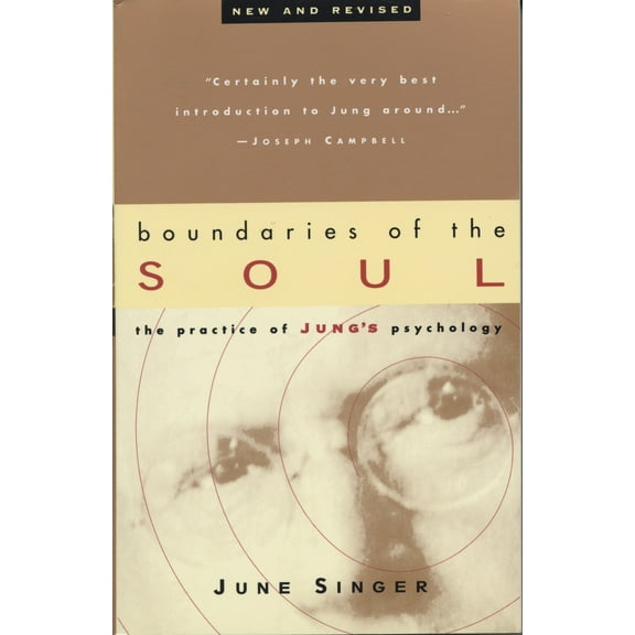 Boundaries of the Soul : The Practice of Jung's Psychology (Paperback)