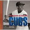 101 Reasons to Love the Cubs [Hardcover - Used]