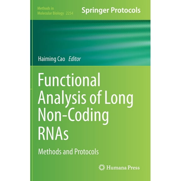 Methods in Molecular Biology Functional Analysis of Long Non-Coding Rnas: Methods and Protocols, Book 2254, (Hardcover)