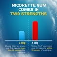 thumbnail image 4 of Nicorette Nicotine Gum to Stop Smoking, 4Mg, White Ice Mint Flavor - 20 Count, 4 of 14