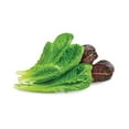 thumbnail image 2 of aspara Romaine Mix 8-Capsule Seed Kit with Plant Food, C8-KLS0002, 2 of 3