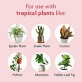 thumbnail image 5 of Tropical Houseplant Food - Liquid Fertilizer for Tropical Houseplants, 8 fl. oz., 5 of 10