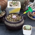 thumbnail image 2 of LOLIPPYY 10pcs Flower Pot Dripper PVC Green Even Water Distribution for Gardening Needs, 2 of 3