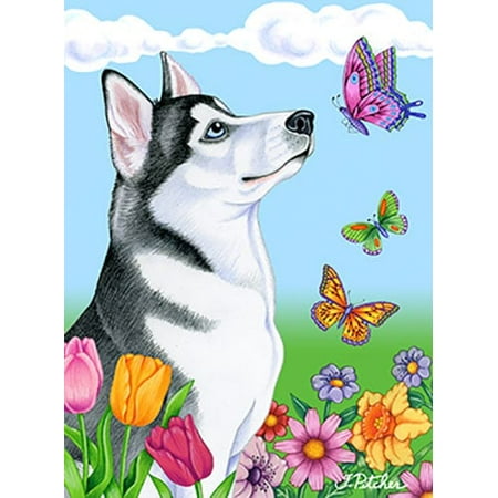 Siberian Husky Grey - Best of Breed Butterfly House (Best Defense For 6 On 6 Flag Football)