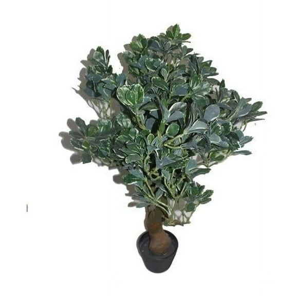 Jeco HD-BT135 36 in. Fortune Tree