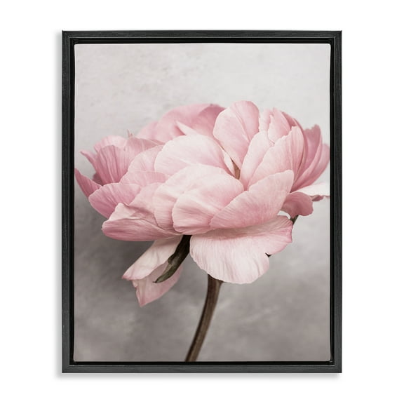 Stupell Industries Blooming Vintage Peony Plants & Flowers Painting Black Floater Framed Canvas Art Print Wall Art, 17 x 21