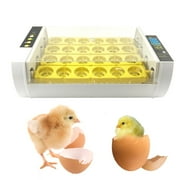 24 Egg Incubator Small Mini Di gital Automatic Eggs Hatching Incubator With Temperature Control, Poultry Hatcher For Quail Duck Chicken Goose Birds Egg Incubators