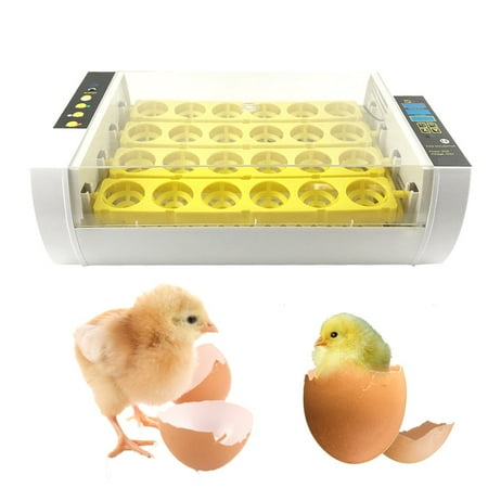 24 Egg Incubator Small Mini Di gital Automatic Eggs Hatching Incubator With Temperature Control, Poultry Hatcher For Quail Duck Chicken Goose Birds Egg Incubators