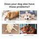 thumbnail image 2 of Juguete interactivo para perros Hoochii Wicked Ball PE para perros medianos y grandes, 2 of 7