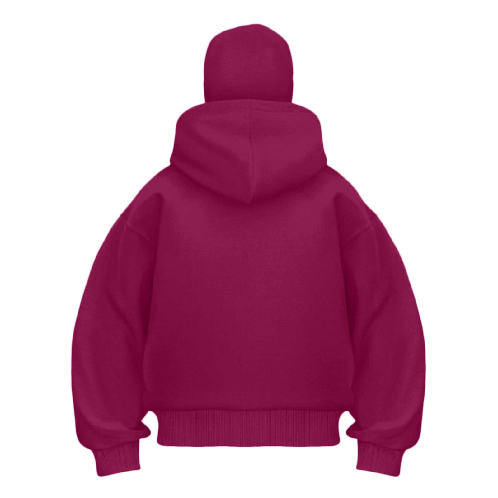 LiJinLong Balaclava Hoodie Zipper Unisex Thermal Insulated Wind Resistant for Snowboarding Skiing Hiking in Extreme Cold Outdoor Adventure Jacket S-XXL
