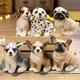 thumbnail image 3 of Pug Miguel Bulldog de pie realista, juguetes de peluche de 18cm, muñecos de animales de peluche suaves, regalos de cumpleaños y Navidad para niños, 3 of 5
