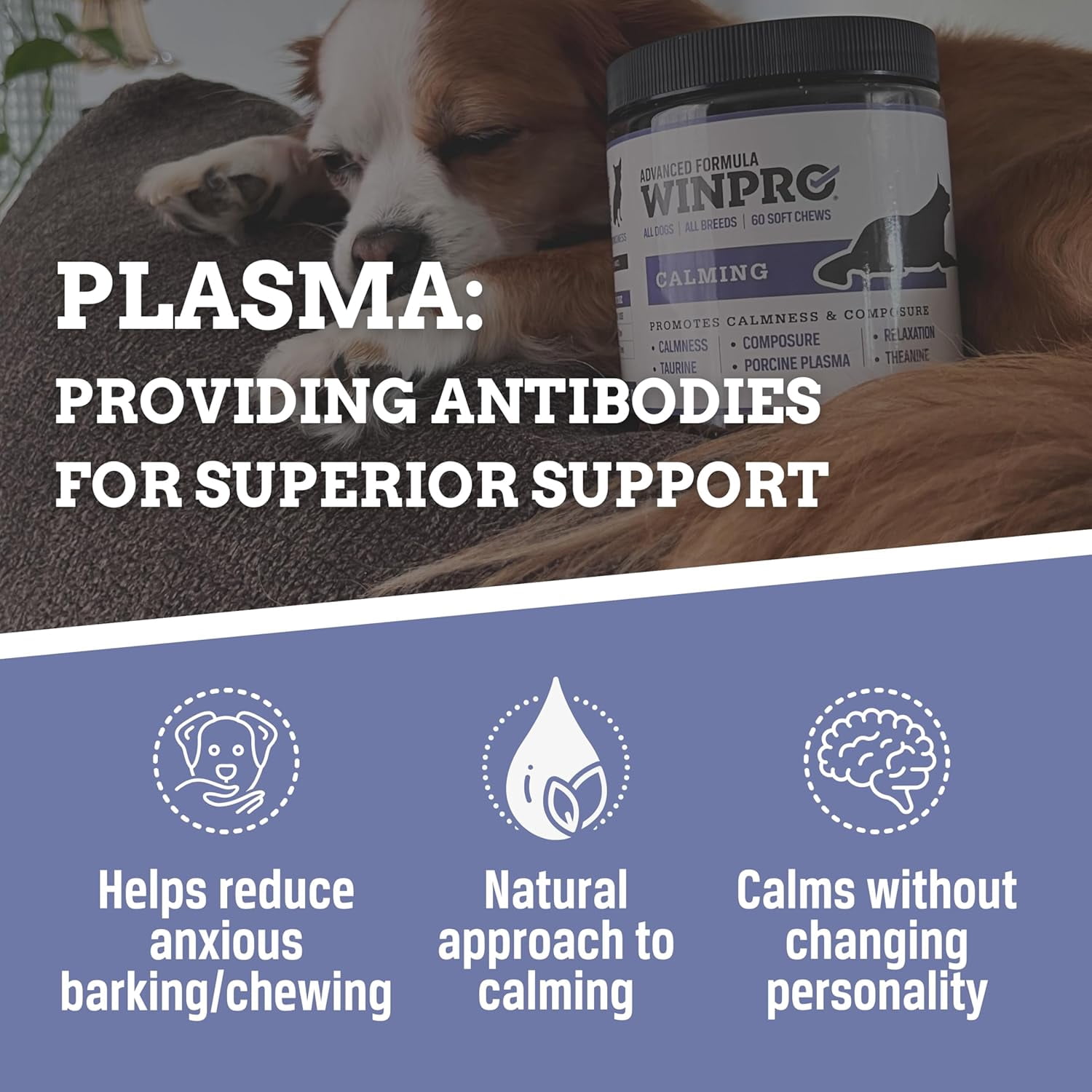 WINPRO Calming Chews for Dogs – Plasma-Powered Soft Chews to Promote Relaxation and Calming Effect – Made With Natural Ingredients, Grain-Free - Suitable for All Breeds & Sizes – 60 Count