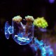 thumbnail image 1 of ADDHAT 2Ud Alimentadores Para Peces Transparentes De Acrílico Para Acuario Con Firme Y, 1 of 8