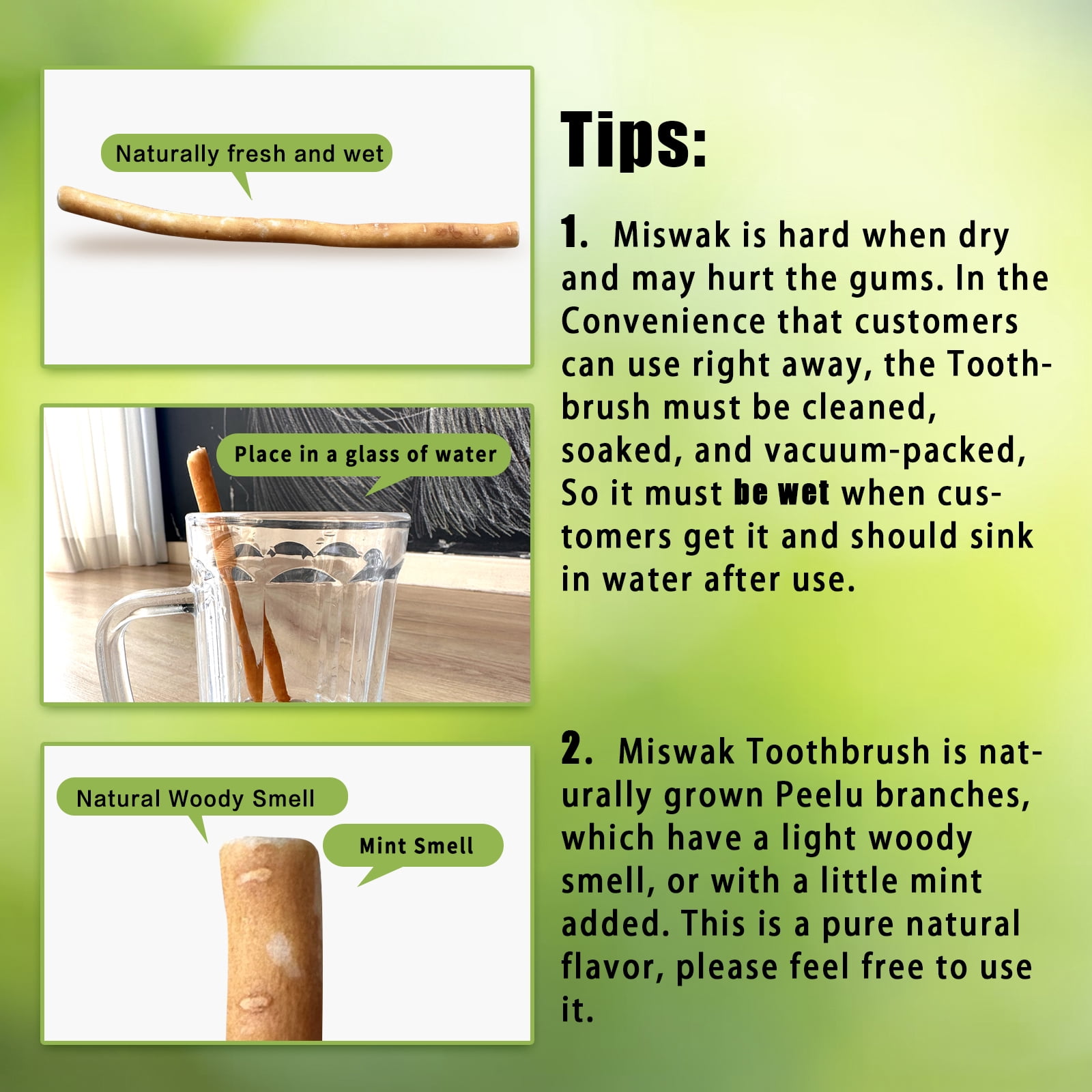 12 Pack Organic Miswak Toothbrushes | All-Natural Wooden Miswak Sticks for Teeth Whitening | Oral Care, Fresh Breath & Eco-Friendly | Original Flavor