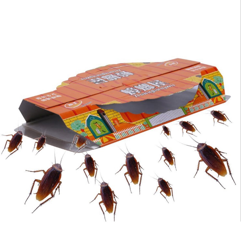 37yimu Non Toxic Cockroach House Cockroach Trap Repellent Killing Strong Sticky Traps Walmart Com Walmart Com