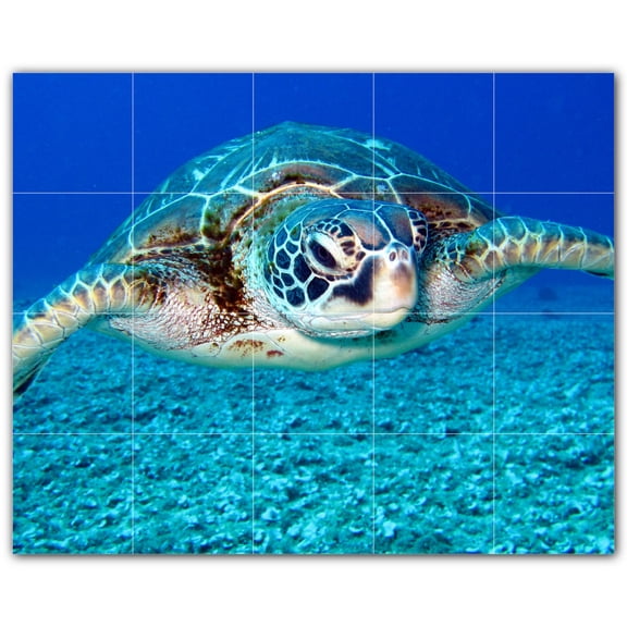 Picture-Tiles.com: Turtle Ceramic Tile Wall Mural WAL501075-54S. 21.25"W x 17"H using (20) 4.25" x 4.25" Ceramic Tiles-Satin Finish
