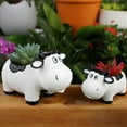 thumbnail image 3 of rygai Cow-Shaped Resin Planter - Hand-Painted Succulent Pot with Whimsical Design, Durable Weatherproof Flower Pot for Cactus, Mini Plants, and Home Decor, 3 of 8