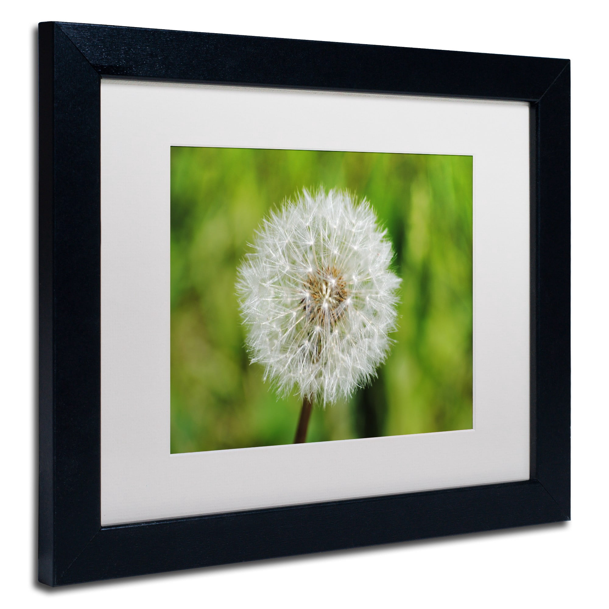 Trademark Fine Art "Make a Wish" Canvas Art by Monica Mize, White Matte, Black Frame