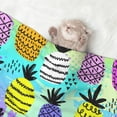 thumbnail image 2 of Sigee Graffiti Pineapples for Pet Blanket for Dog Cat Puppy Blanket Cat Blankets for Small and Medium Pets-Large, 2 of 8