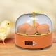 thumbnail image 5 of Incubadora Btafrte Máquina Incubación 15 W Control Temperatura Ajustable 6 Huevos, 5 of 9