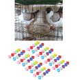 thumbnail image 3 of 150Pc Chicken Hen Aves de Corral Clip Anillos para Dove Bird Polluelos Loro Sunnimix Anillos De Pata De Loro Pájaro Loro, 3 of 8