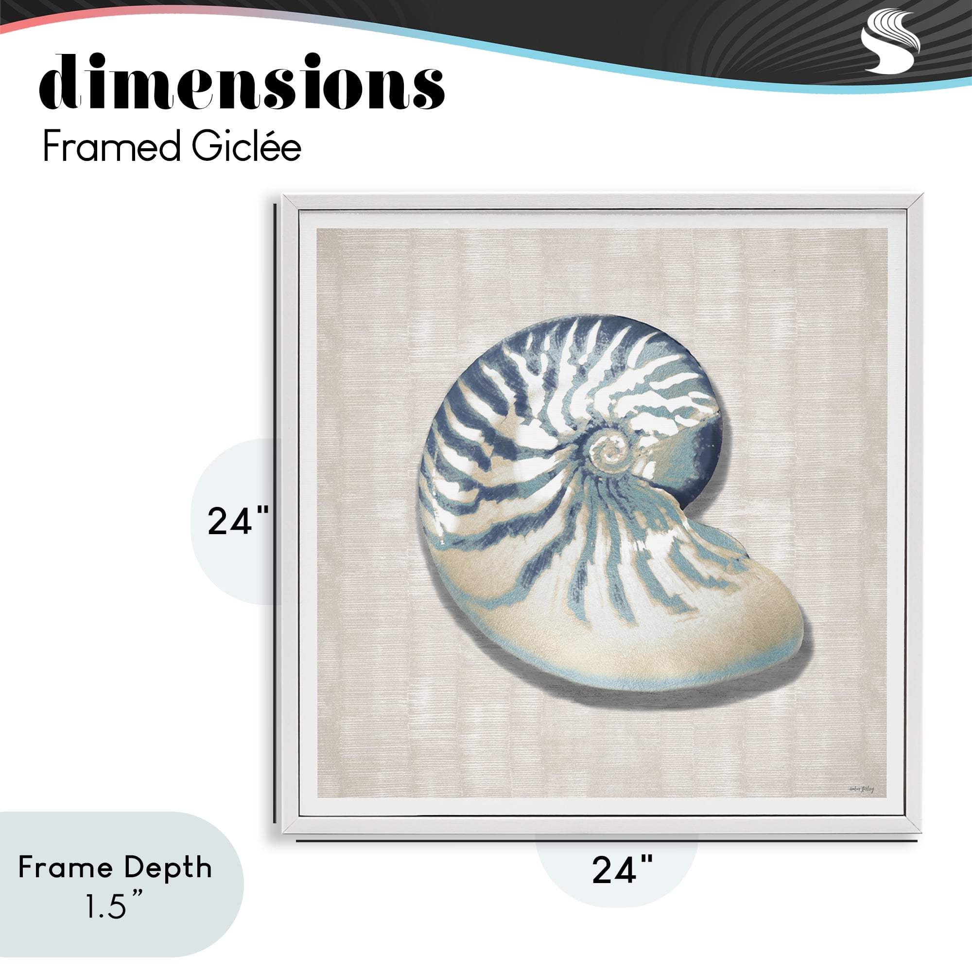 Stupell Industries Nautilus Shell in Misty Blue White Framed Giclee Art, design by Amber Sterling