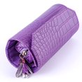 thumbnail image 1 of POINTERTECK Roll Travel Jewel Bag Case Large Capacity Without Crease for Necklaces Earrings Rings Bracelets, 1 of 7