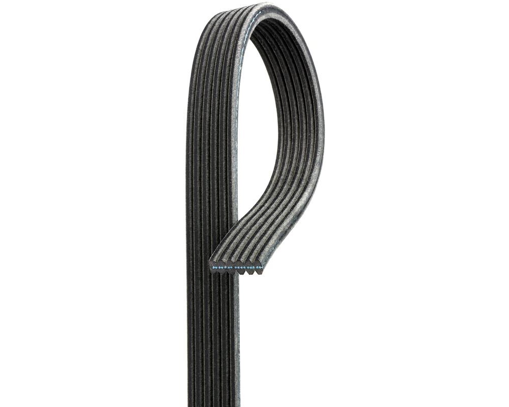 walmart serpentine belt