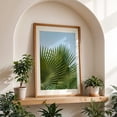 thumbnail image 5 of Fan Palm II - Photography Unframed Wall Art Print 8 x 12 inches, 5 of 60