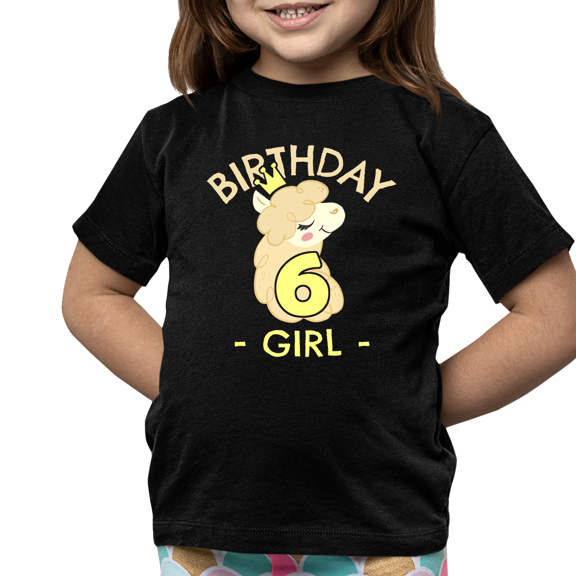 6th Birthday Shirt Girls Birthday Shirt Llama 6th Birthday Shirts for Girls Cute Birthday Girl Shirt
